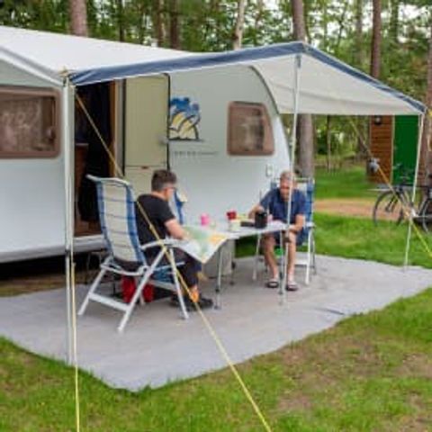 Pitch - RCN het Grote Bos - Standard