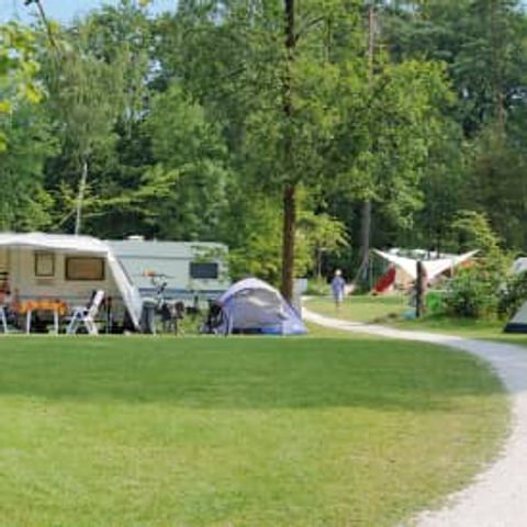 Pitch - RCN het Grote Bos - Comfort