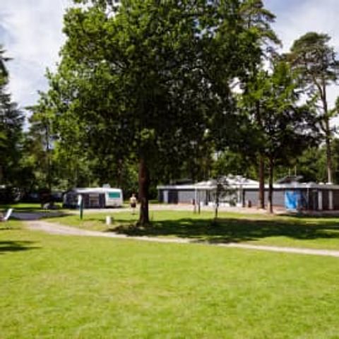 Pitch - RCN het Grote Bos - Comfort