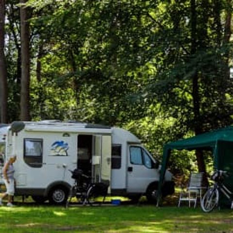 Pitch - RCN het Grote Bos - Motorhome