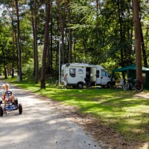 Pitch - RCN het Grote Bos - Motorhome