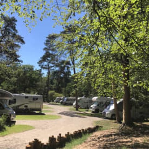 Pitch - RCN het Grote Bos - Motorhome