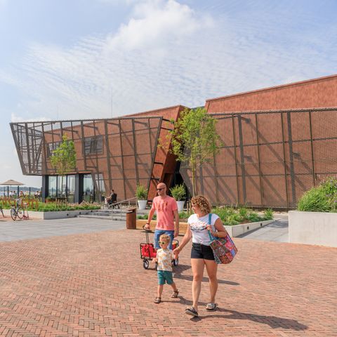 RCN Vakantiepark De Schotsman - Nord-Beveland - Image N°6