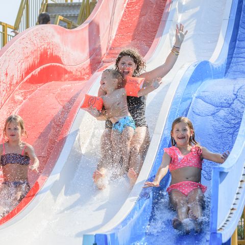 RCN Vakantiepark De Schotsman - Nord-Beveland - Image N°5