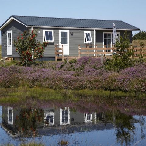 Texelcamping Loodsmansduin - Camping Texel - Image N°2