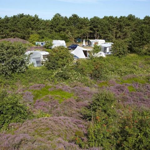 Texelcamping Loodsmansduin - Camping Texel - Image N°6