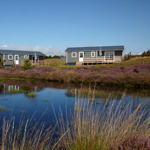 Texelcamping Loodsmansduin - Camping Texel - Image N°5