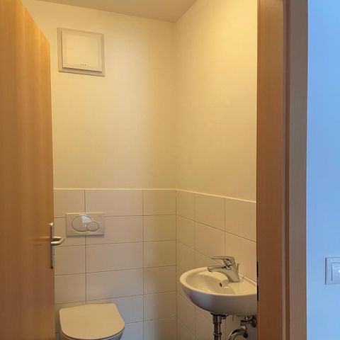 APARTMENT 4 people - Gosausee