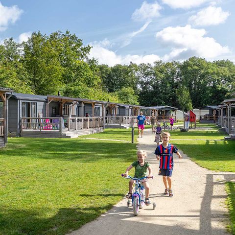 CHALET 6 people - Lijster