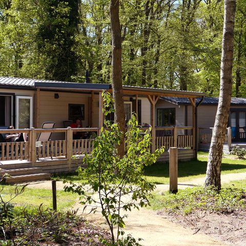 Chalet 6 persons - Fluteswort