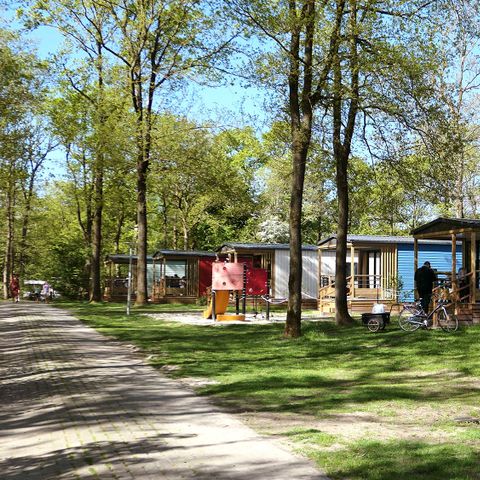 Chalet 4 persons - 2+2 (up to 12 years) Goudhaver
