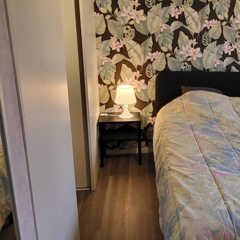 CHALET 3 people - Belgica