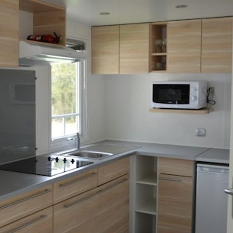 CARAVAN 6 people - Holiday Home (pet-friendly)