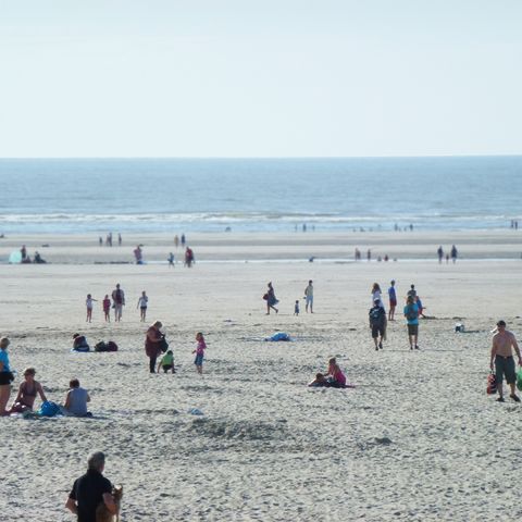 Dormio Resort Berck-sur-Mer - Camping Pas-de-Calais - Image N°2