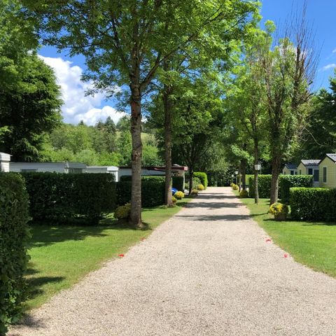 Ferienpark Eifellux - Camping Rhineland-Palatinate - Image N°6
