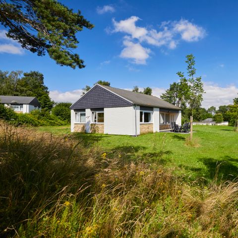Bungalow 6 persons - 6B2