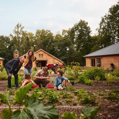 Center Parcs Park Allgäu  - Bavaria - Image N°4
