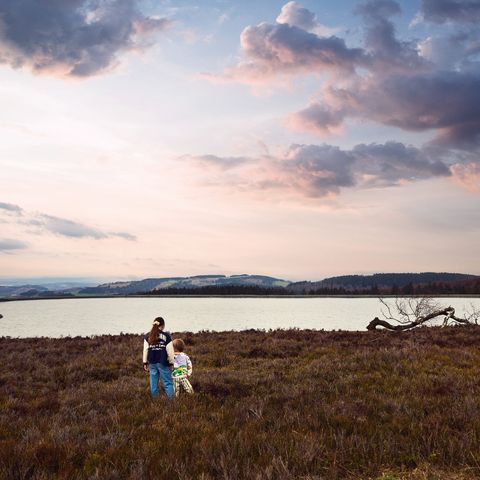 Center Parcs Park Hochsauerland - North Rhine-Westphalia - Image N°4