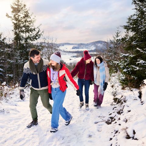 Center Parcs Park Hochsauerland - North Rhine-Westphalia - Image N°4