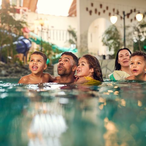 Center Parcs Park Hochsauerland - North Rhine-Westphalia - Image N°6