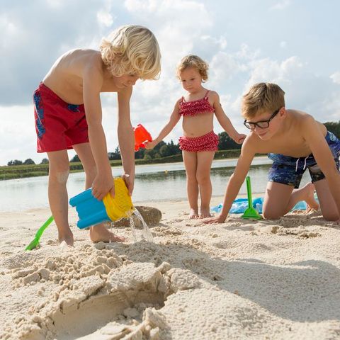 Landal Dwergter Sand - Camping Lower Saxony - Image N°5