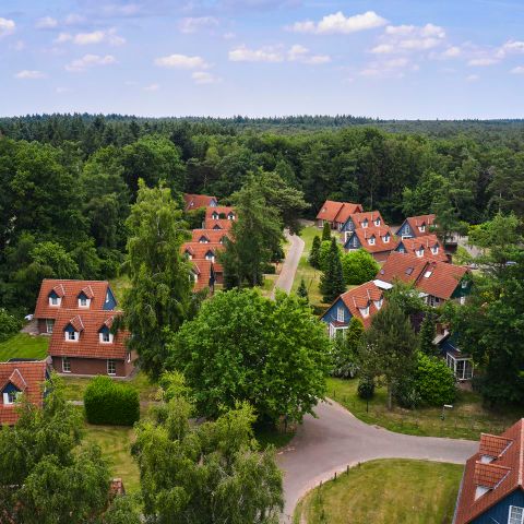 Landal Dwergter Sand - Camping Lower Saxony - Image N°4