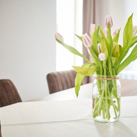 Bungalow 4 persons - Comfort Holiday Home