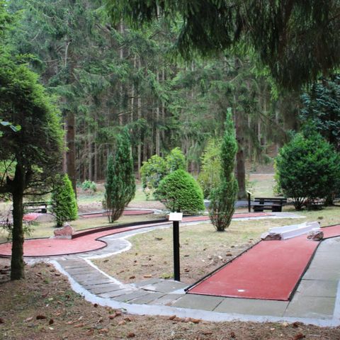 Hunsrück Ferienpark Hambachtal - Camping Rhineland-Palatinate - Image N°2