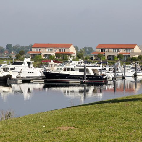 Maaspark Boschmolenplas - Camping Maasgouw - Image N°4