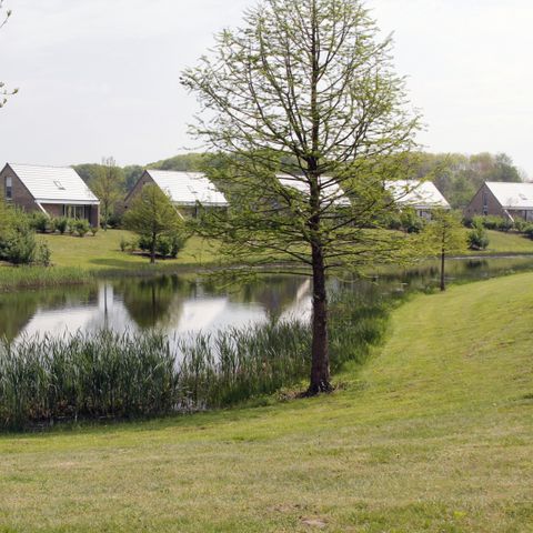 Maaspark Boschmolenplas - Camping Maasgouw - Image N°5