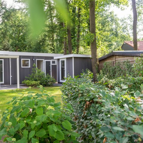 Bungalow 4 persons - Park Lodge
