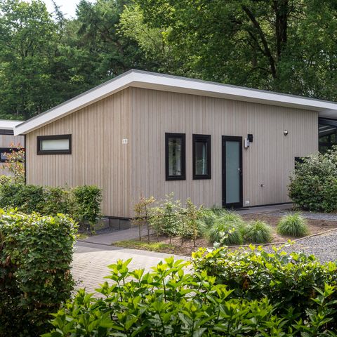Bungalow 6 persons - Forest Lodge 55 with hot tub