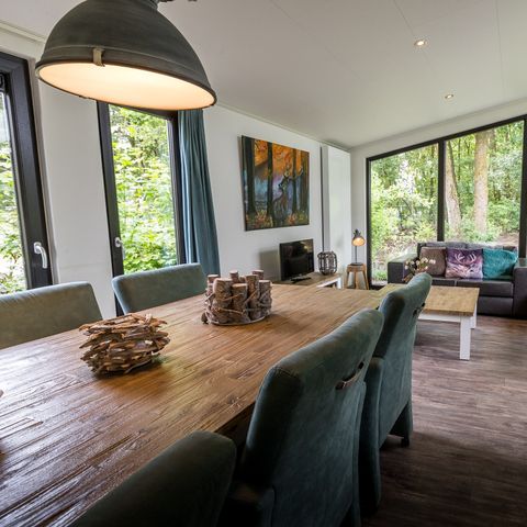 BUNGALOW 6 people - Forest Lodge 55 with hot tub