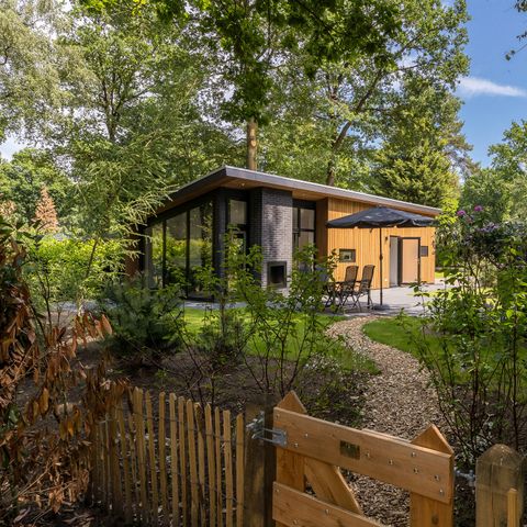 BUNGALOW 4 people - Forest Lodge 55 Eco with Sauna