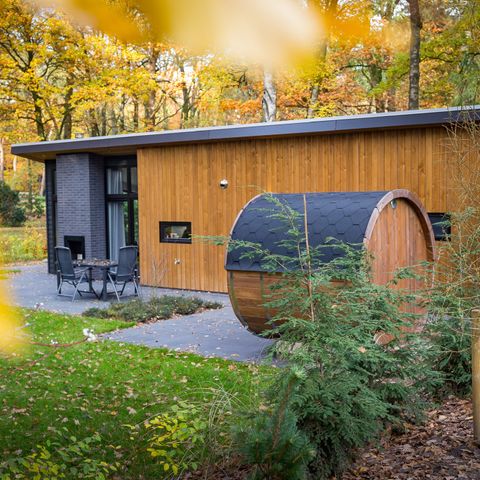 BUNGALOW 4 people - Forest Lodge 55 Eco with Sauna