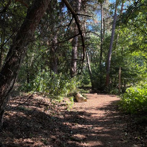 BUNGALOW 2 people - Wood Lodge Eco