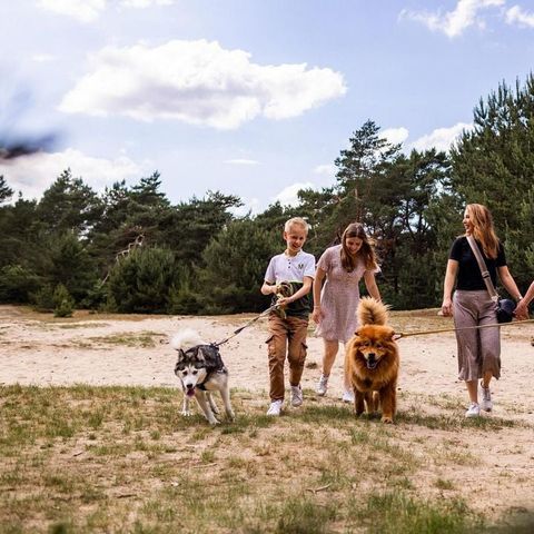 BUNGALOW 4 people - Tiny Lodge Eco with Sauna