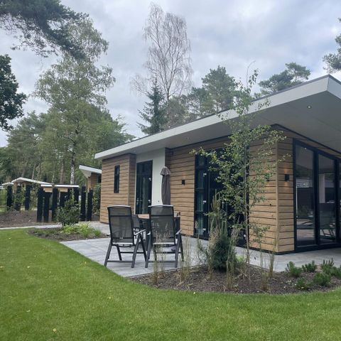 Bungalow 4 persons - Veluwe Lodge