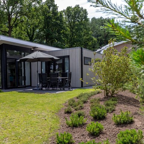 BUNGALOW 6 people - Forest Lodge 75 with hot tub and sauna