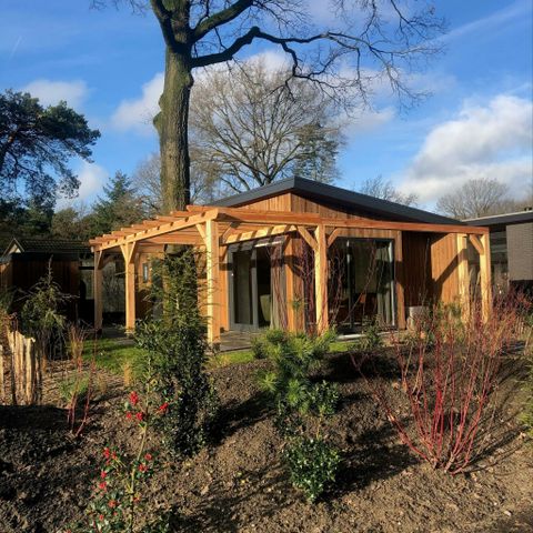 Bungalow 4 persons - Heath Lodge Eco
