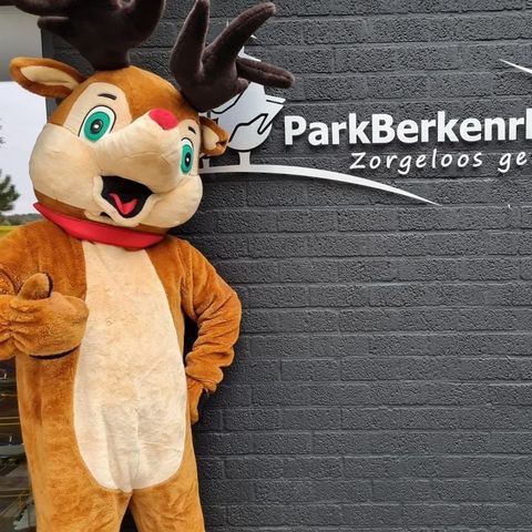 Park Berkenrhode - Camping Ede - Image N°6