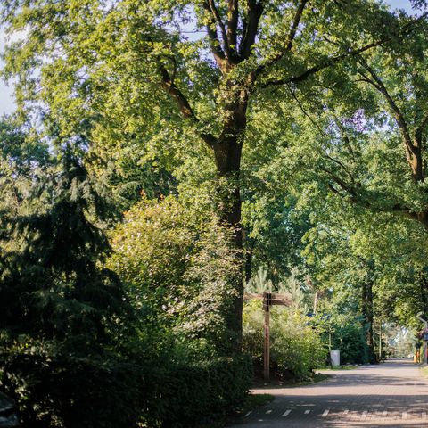 Park Berkenrhode - Ede - Image N°6