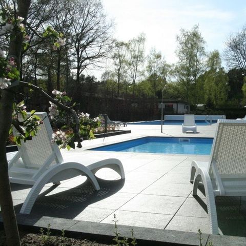 Park Berkenrhode - Camping Ede - Image N°3