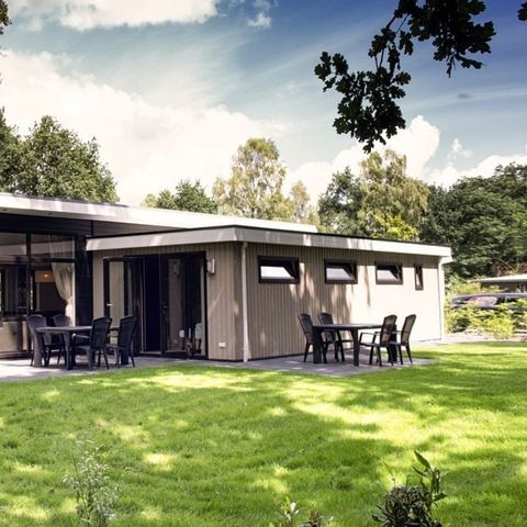 Park Berkenrhode - Camping Ede - Image N°2