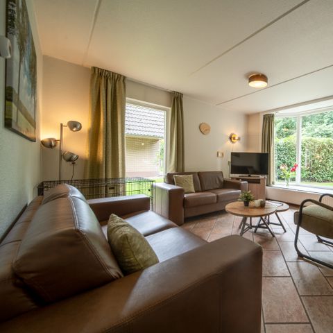 HOUSE 6 people - Dogs