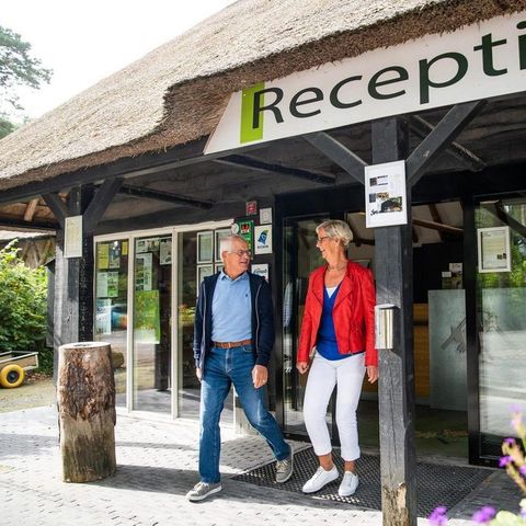 Vakantiepark De Norgerberg - Camping Noordenveld - Image N°3