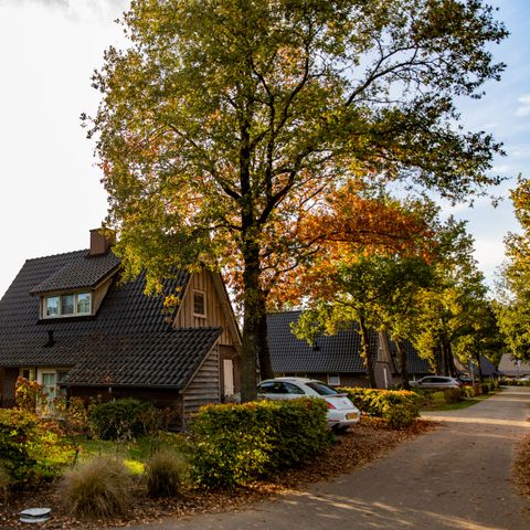 House 4 persons - Beukelaer Comfort