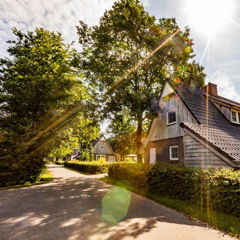 House 4 persons - Beukelaer Comfort