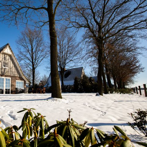 House 6 persons - Wellness Lodge XXL