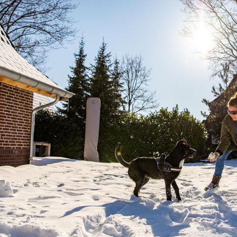 LODGE 2 people - Premium Lodge XL